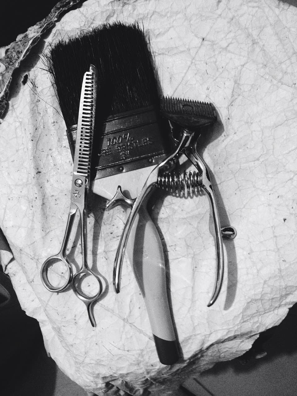 Arrangement of combs and clippers on the wooden station.