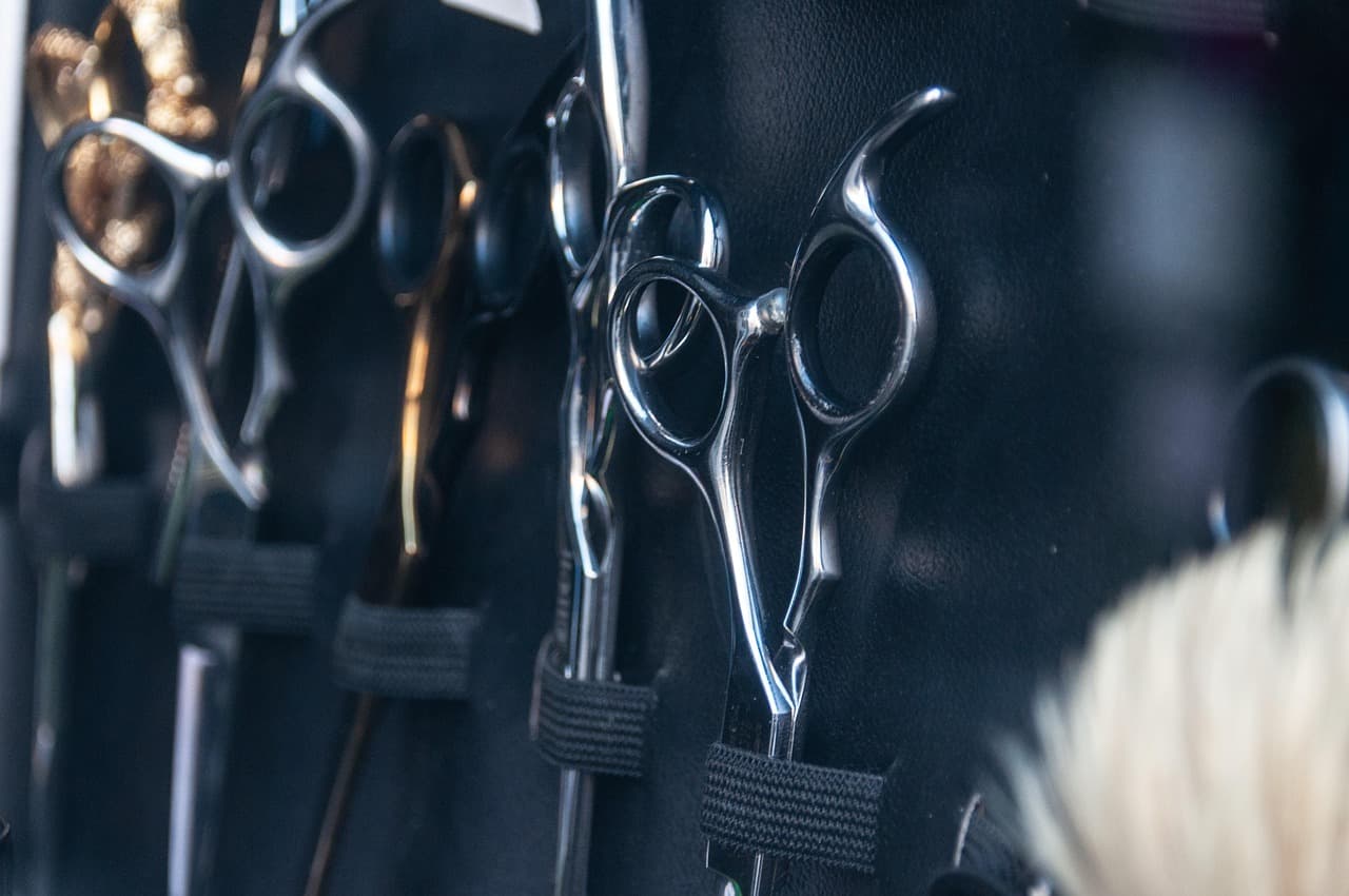 Scissors, clipper, and brush arranged as studio tools.